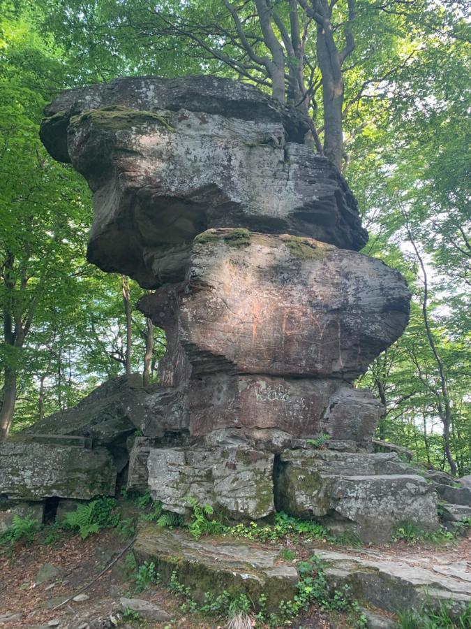 Schronisko Gorskie Pttk Na Jaworzynie Krynickiej Krynica Zdroj Exterior foto